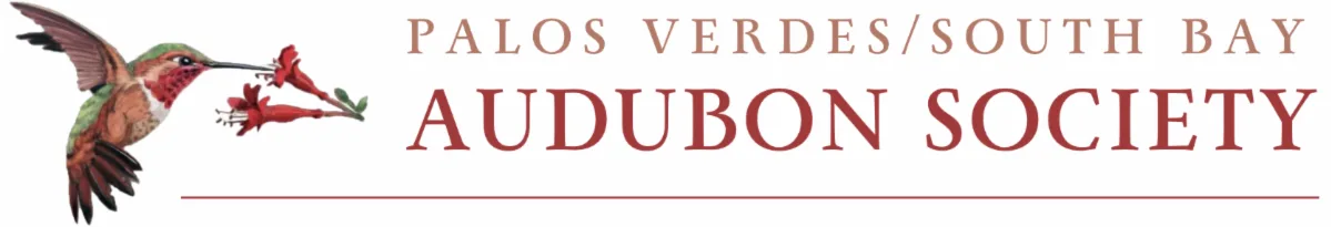 Palos Verdes/South Bay Audubon Society